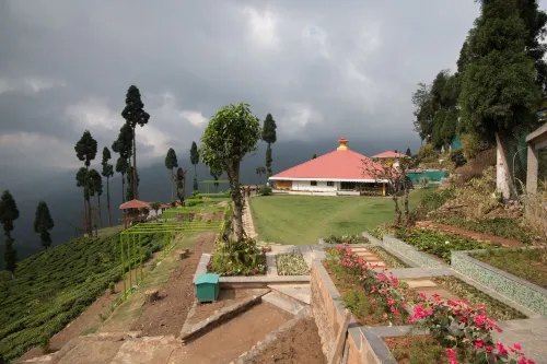 Chamong Chiabari