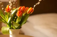Hotel Heldt