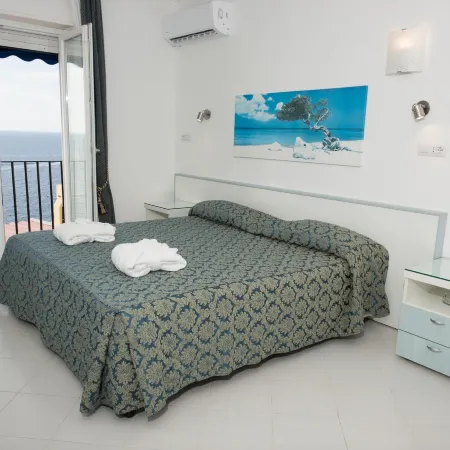 Hotel Weber Ambassador