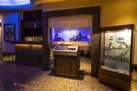 Water Hotel Cy (Adult Only) Hotels in Yamato