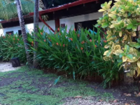 カフェ ドゥ プラヤ ビーチ フロント ホテル ココのホテル