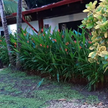 Café de Playa Beach Front Hotel