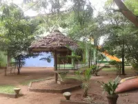 سوانيلا ريست