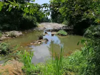 Silent Bungalow River Side Hotels in Embilipitiya
