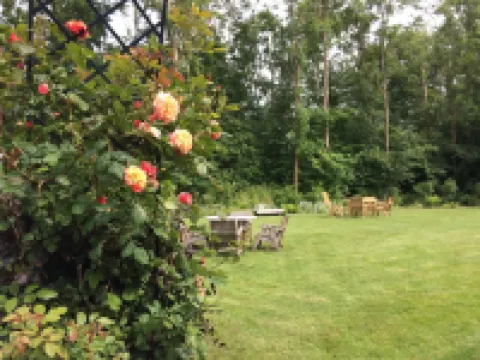 Lelymare Logies Hotels in Lelystad