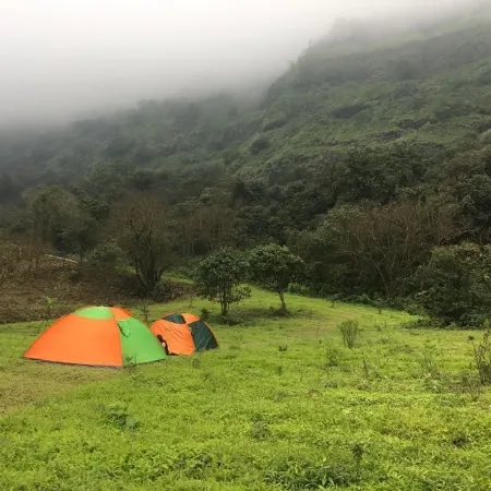 Canary Forest Camping