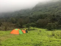 Canary Forest Camping - Campgrounds