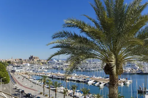 Hotel Mirador Xung quanh Photos