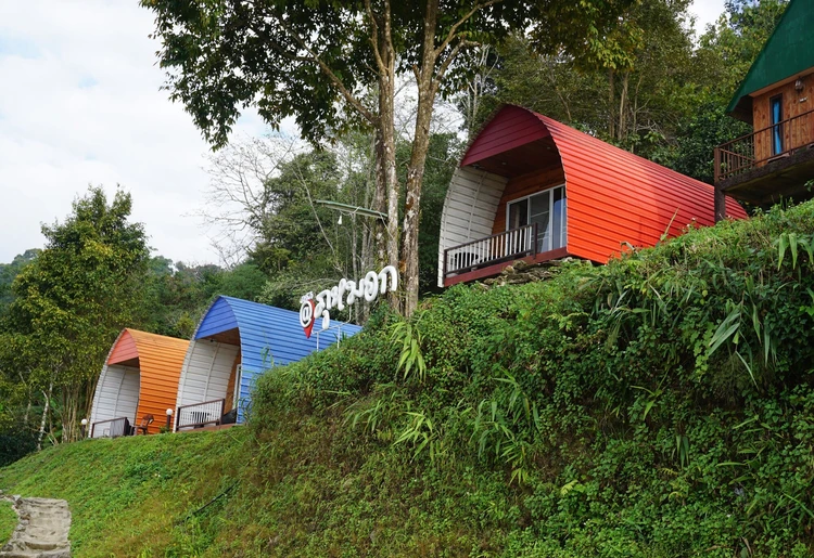 รูปภาพของภูหมอก แค้มป์ (ภูชี้ฟ้า)