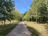 The Hall Farm Bed and Breakfast - Pysäköinti