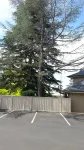 Armidale Pines Motel - parking