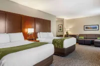 Comfort Suites Helena Airport Hotels in Helena