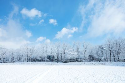 ホテル周辺 星野リゾート リゾナーレ那須の写真