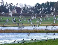Ferienwohnung in Oevenum Auf Foehr