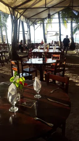 Hotel la Palapa Отели в г. Тамариндо