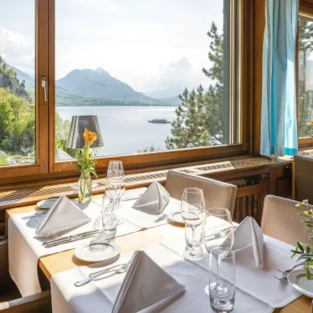See- Und Seminarhotel FloraAlpina Vitznau