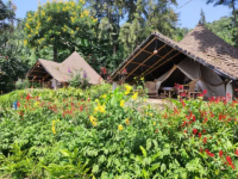 Inzu Lodge Hotels in Rubavu