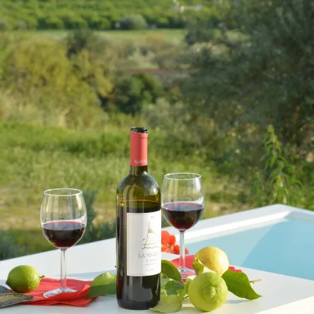 Villa Pettegola in Noto