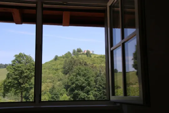 Overnight stay in the winery Neveu - Schlossblick