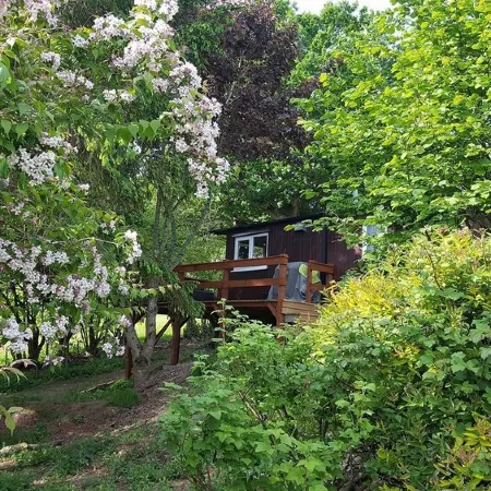 Rowan Tree Lodge with Hot Tub, a beautiful Woodland Retreat in Shropshire