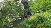 Rowan Tree Lodge with Hot Tub, a beautiful Woodland Retreat in Shropshire