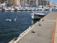 promo august beachside wifi pool and private parking from 25 € per night Hotels in Leucate