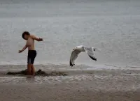 Luxury captain's apartment 'Helgoland-Avantgarde' directly on the south beach in WHV