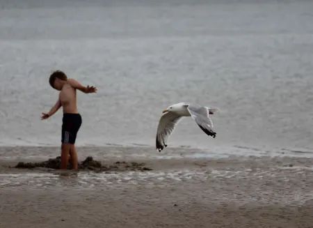Luxury captain's apartment 'Helgoland-Avantgarde' directly on the south beach in WHV Отели рядом с достопримечательностью «Parc national de la mer des Wadden de Basse-Saxe»