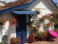 Charming house located on the shore of Lake Maubuisson, close to the ocean. カルカンのホテル