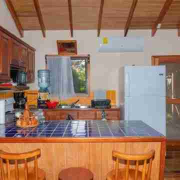 Condo Caribbean Dreams Others