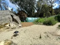 Dome Solar Studio Escape <br>Set in native forest high in the Blue Mountains. Enjoy