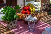 Villa Among Centuries-Old Olive Trees Just Minutes from the Sea - 2-Star