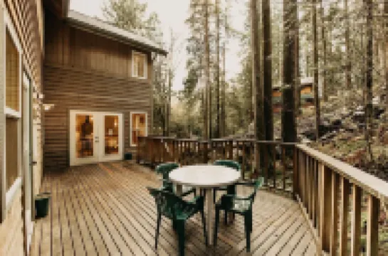 51sl - Ping Pong - Fireplace - D/w - W/D - Sleeps 8 3 Bedroom Home by RedAwning