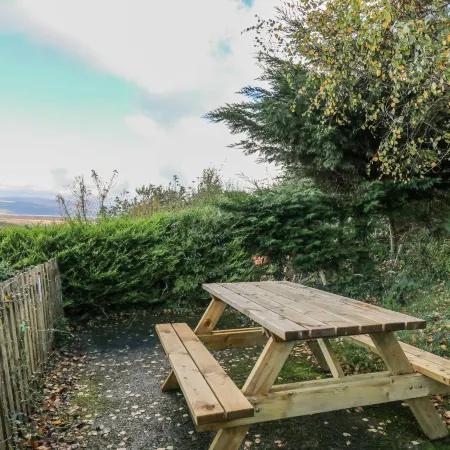 Ystwyth 26