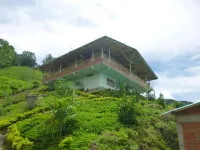 Ecohotel Campo Alegre Norcasia Caldas Отели в г. 