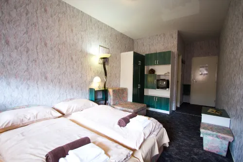 Piknik Wellness Hotel - Gym