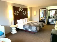 Oxford Inn Hotels in Ozark