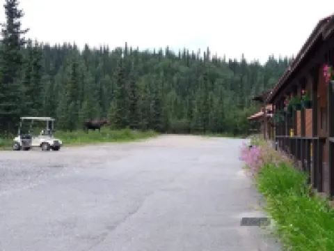 White Moose Lodge Hoteles en Denali