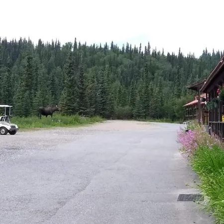 White Moose Lodge