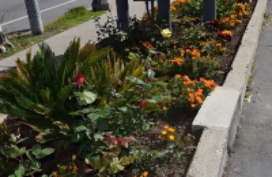 Rose Garden Inn Hotels in Upper State Street