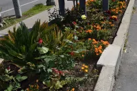 Rose Garden Inn