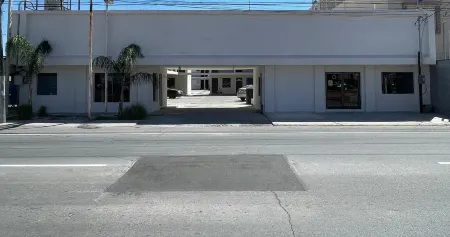 Yolotl Sleep Experience