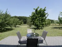 Orchard Cottage Hotels in Holywell