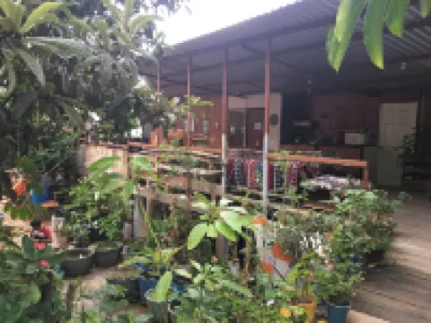 La Casa Del Nenufar - Hostel Hoteles en 