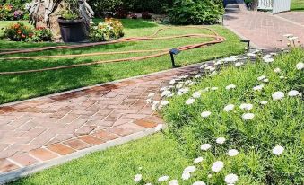 Hotel Palmas Teotihuacán