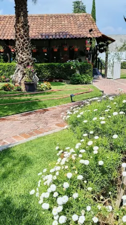 Hotel Palmas Teotihuacán Отели в г. Охо де Агуа