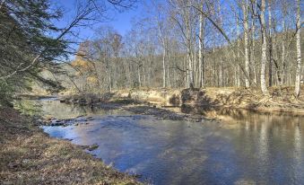 Riversong Cabin w/ Fire Pit on North River
