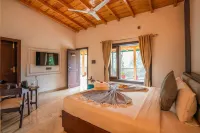 무스타쉬 셀렉트 나우쿠치아탈