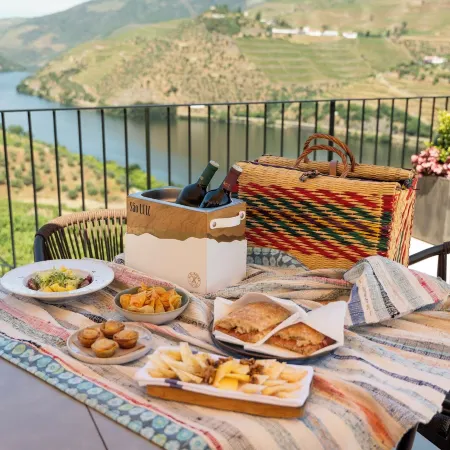 Quinta de Sao Luiz the Vine House
