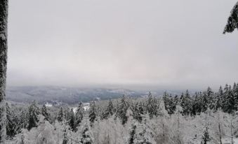 Refurbished Holiday Home in Suhl with Spacious Terrace